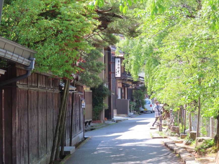 Takayama: Immersing in the atmosphere of a traditional Japanese mountain town, visiting historic streets, and enjoying local festivals and cuisine.